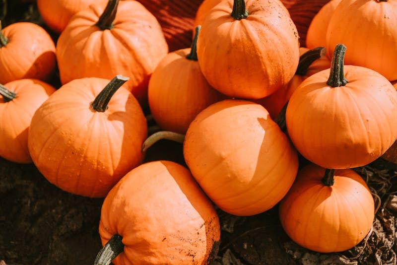 a pile of pumpkins sitting on the ground